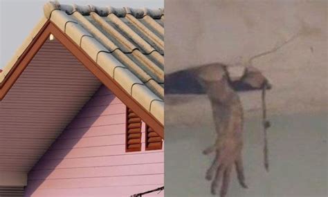 Suara pasir di atap rumah malam hari pertanda apa COM - Pernahkah Anda mengalami tiba-tiba melihat angka kembar